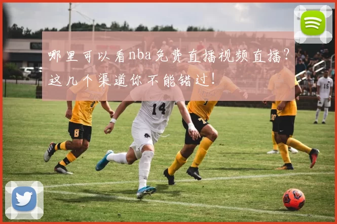 哪里可以看nba免费直播视频直播?这几个渠道你不能错过!