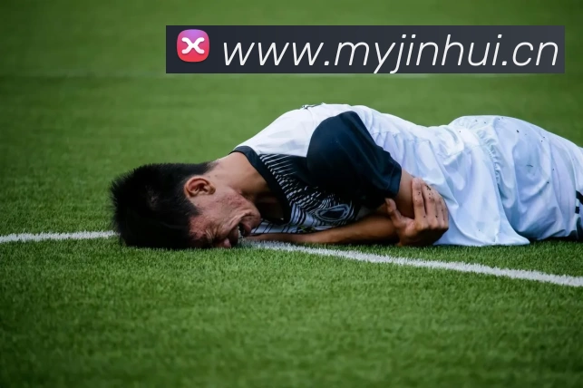 多媒体互动体验